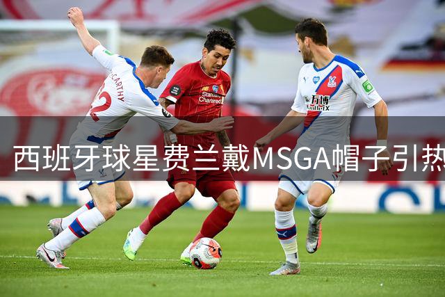 西班牙球星费兰戴"MSGA"帽子引热议 特朗普亲自回应称赞